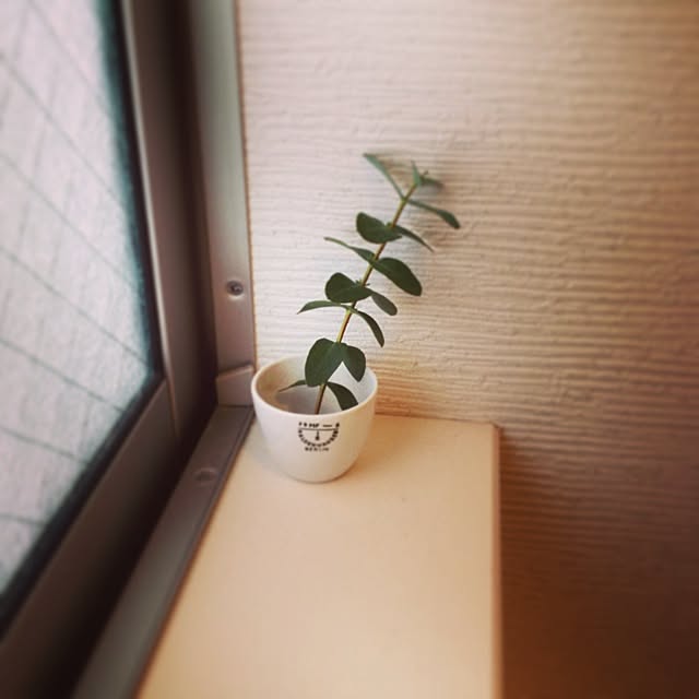 Akikoさんの実例写真