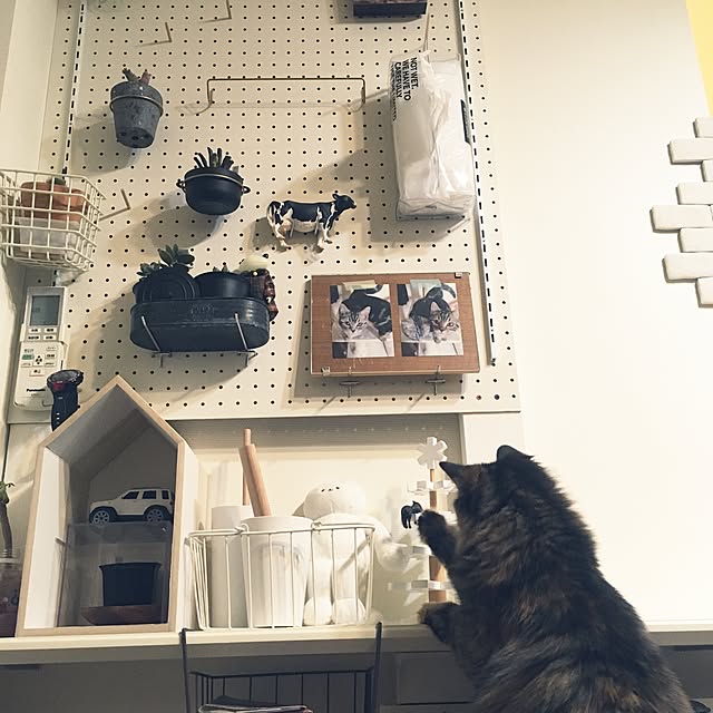 mikomaruさんの実例写真