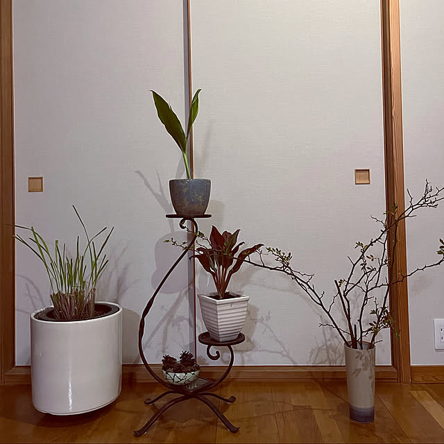 botanさんの実例写真
