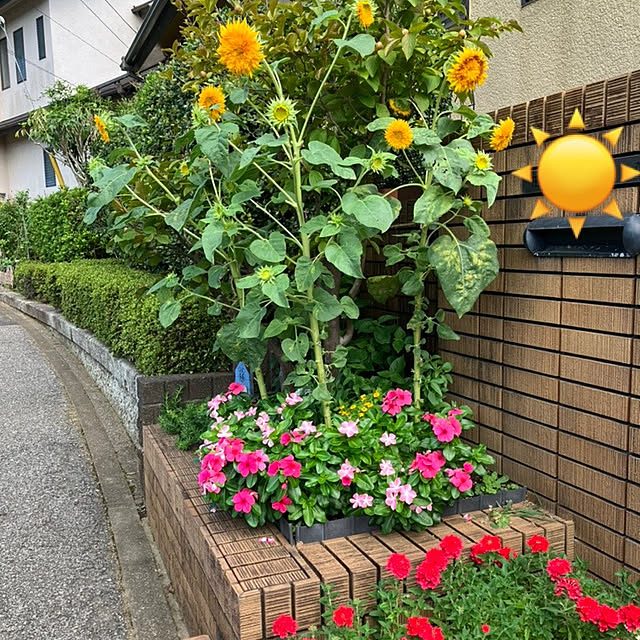 maron915さんの実例写真