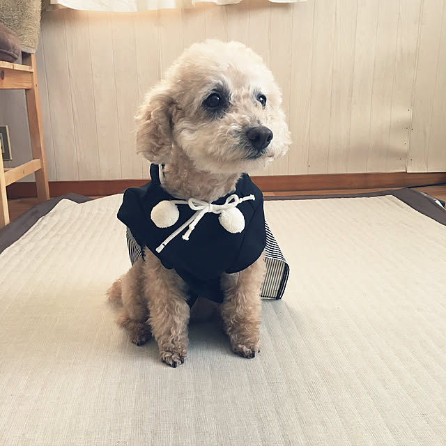 yukarimamaさんの実例写真