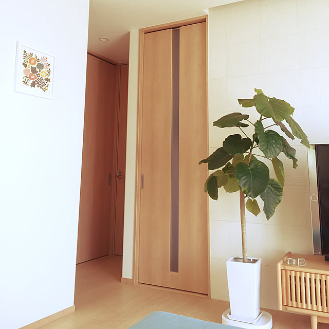 kilala_pさんの実例写真