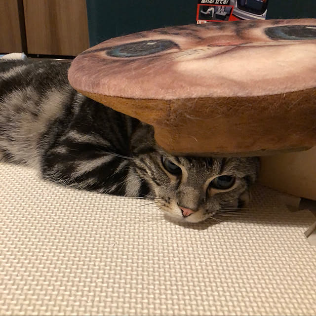 KotarouKunさんの実例写真