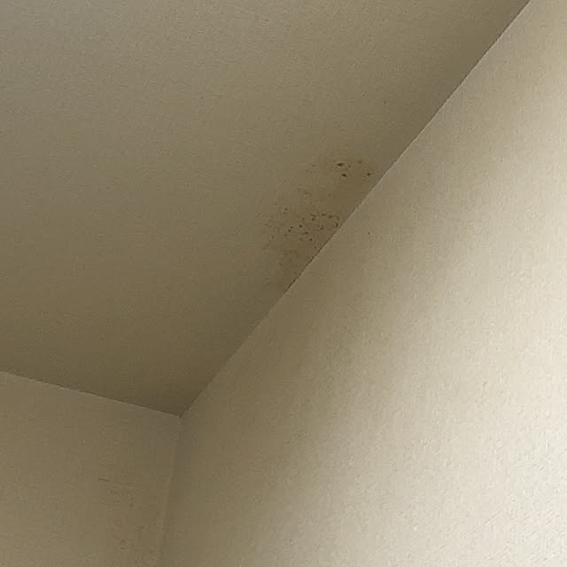 elekitel_kokiyuさんの実例写真