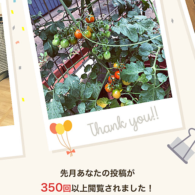Aiさんの実例写真