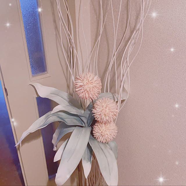 luminous-0928さんの実例写真