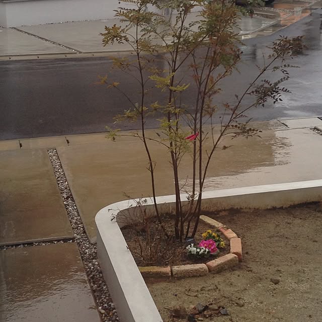 NkRさんの実例写真