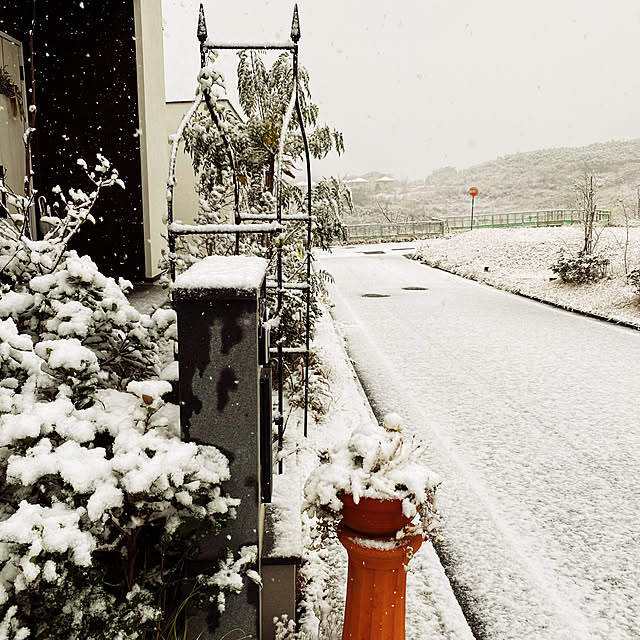 雪景色の庭/white interior/白が好き/RCの皆さまに感謝♡/フォロー＆いいね！ありがとうございます☆...などのインテリア実例 - 2022-01-07 07:41:50