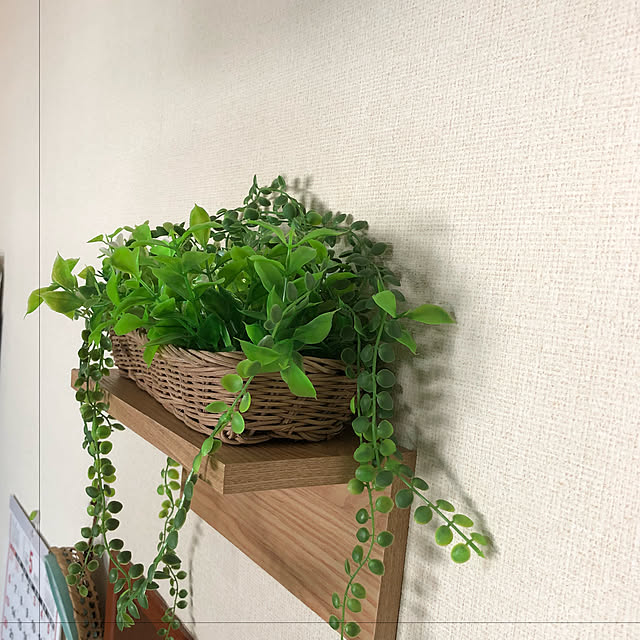 壁/天井/DIY/ナチュラル/観葉植物/照明...などのインテリア実例 - 2018-04-30 12:46:43