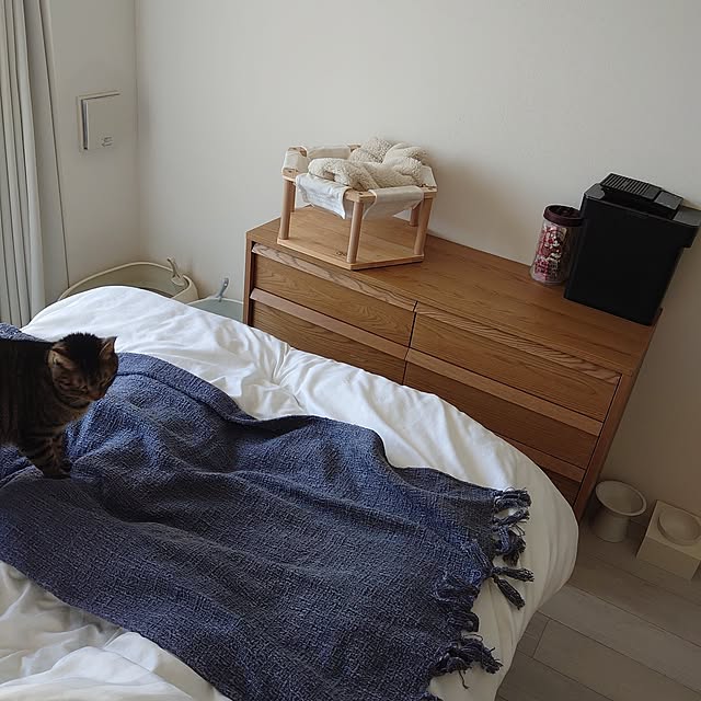 1K/賃貸/ひとり暮らし/ねこ/猫と暮らす部屋...などのインテリア実例 - 2023-12-18 12:56:05