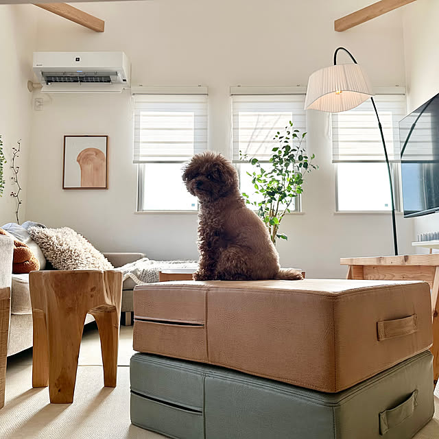 Tarutoさんの部屋