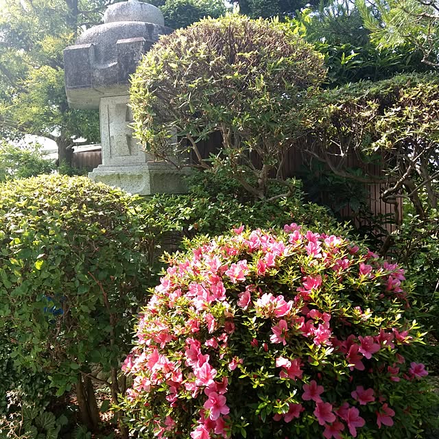 nikkoriさんの実例写真