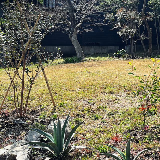kabu10さんの部屋
