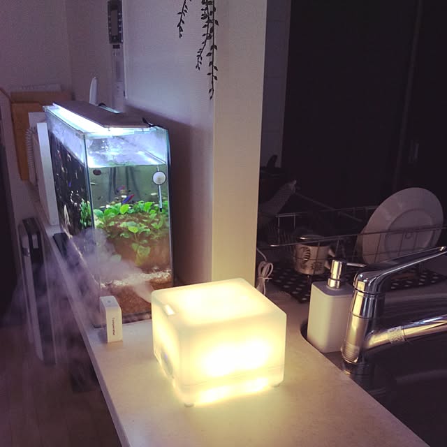 lemonさんの実例写真