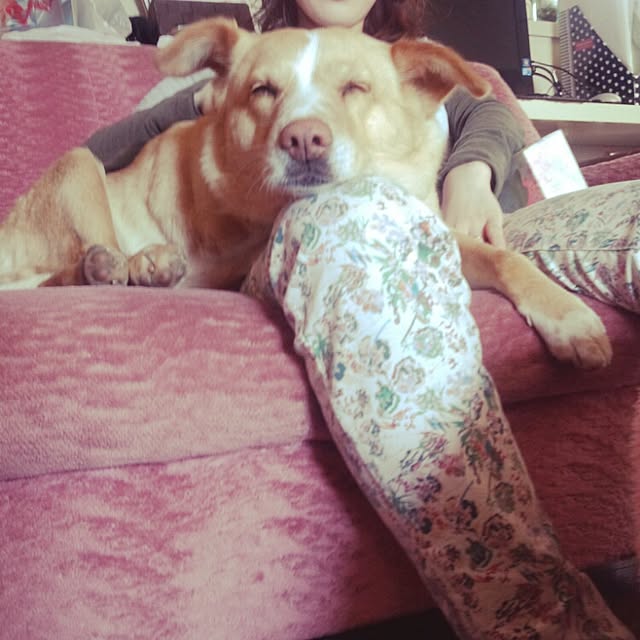 puku.さんの実例写真