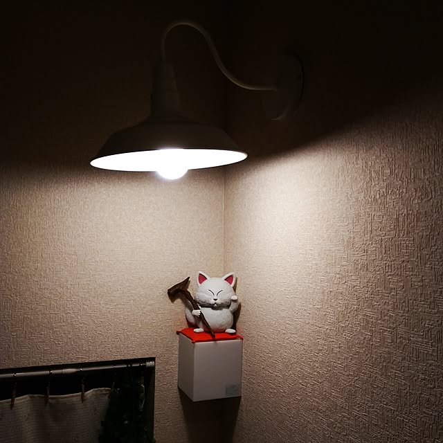 kazuさんの実例写真