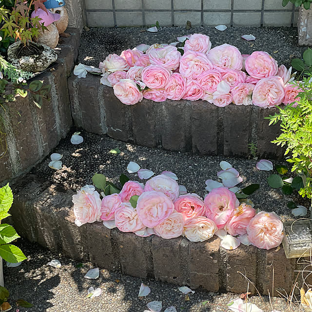 asako.10さんの実例写真