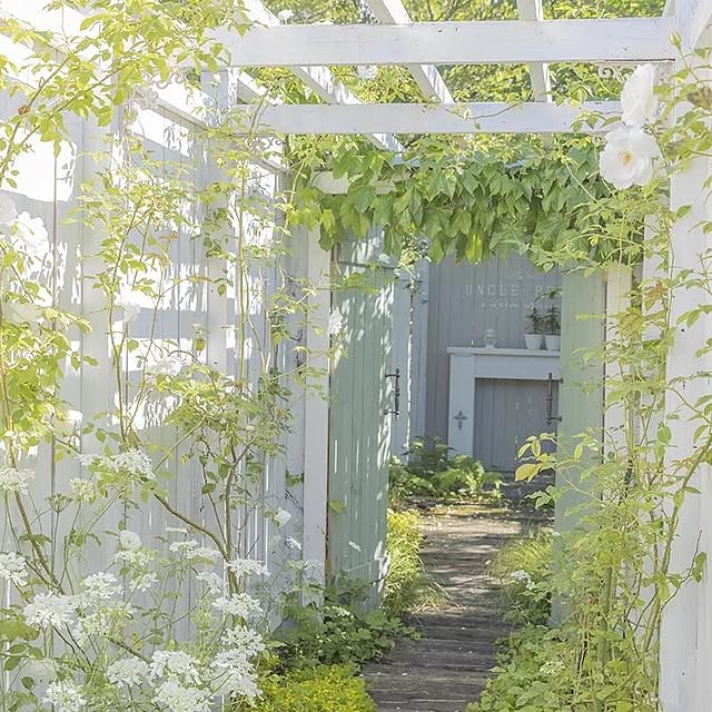 Aether_Gardenさんの実例写真