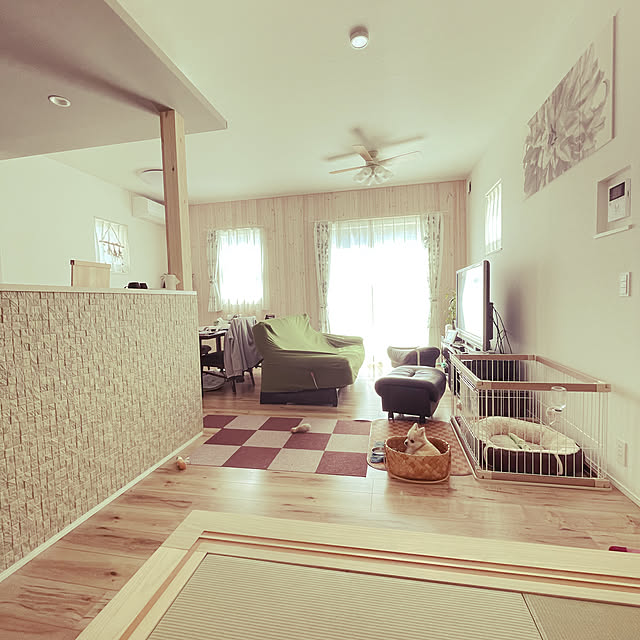 観葉植物/エコカラットプラス/照明/部屋全体のインテリア実例 - 2021-04-08 09:56:24