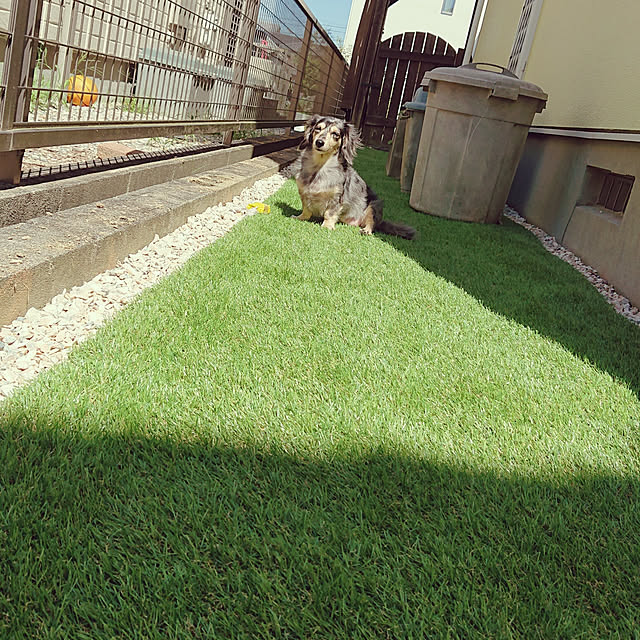maimizuさんの実例写真