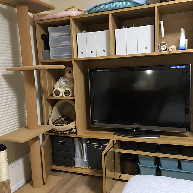 mayuさんの実例写真