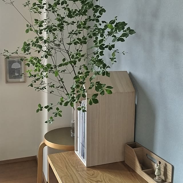 sakiさんの部屋