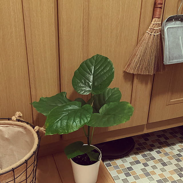 moko7ruiさんの実例写真