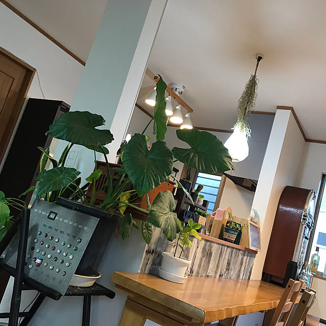 hisaeさんの実例写真