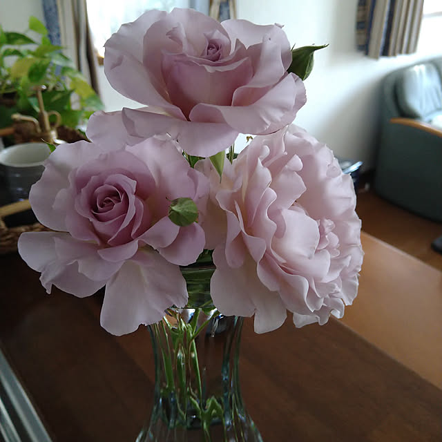 miy-9320さんの実例写真