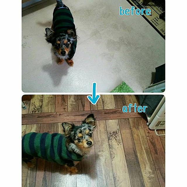 koyuki-111さんの実例写真
