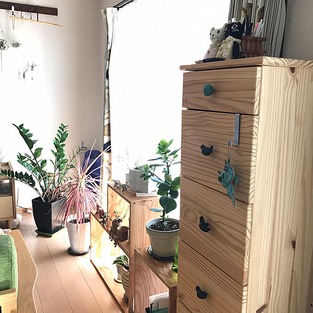 Shizuku-sanさんの実例写真