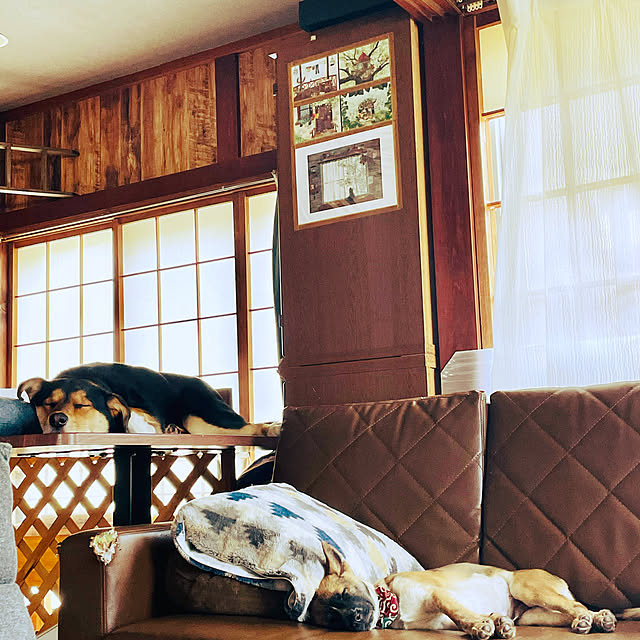 hichamiさんの実例写真