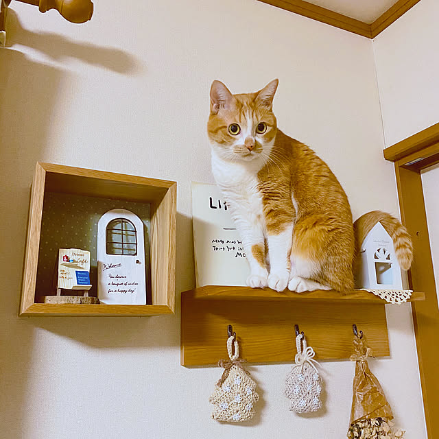 cocomaroさんの実例写真