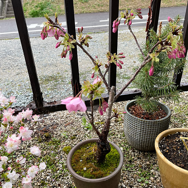 shin0719さんの部屋