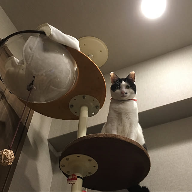 hanaさんの実例写真