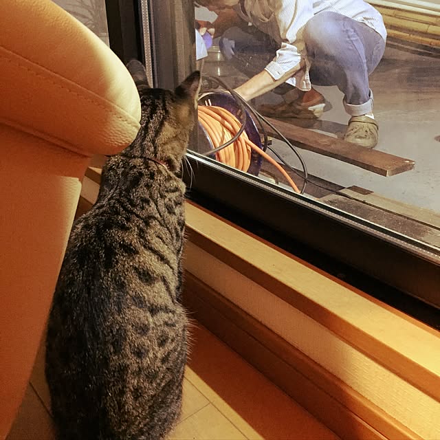 yutchiさんの実例写真