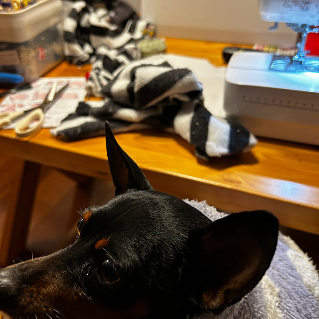 shizuponさんの実例写真