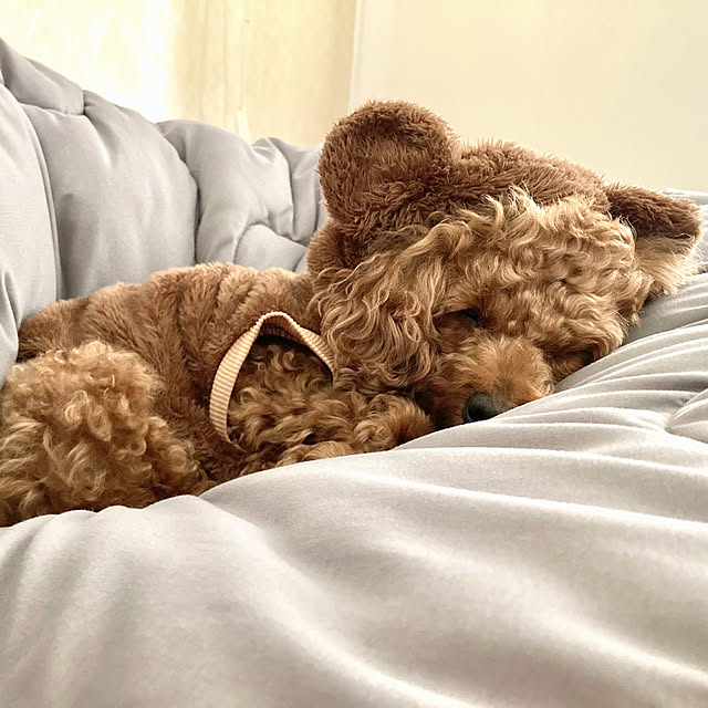 MOMOMAMAさんの実例写真