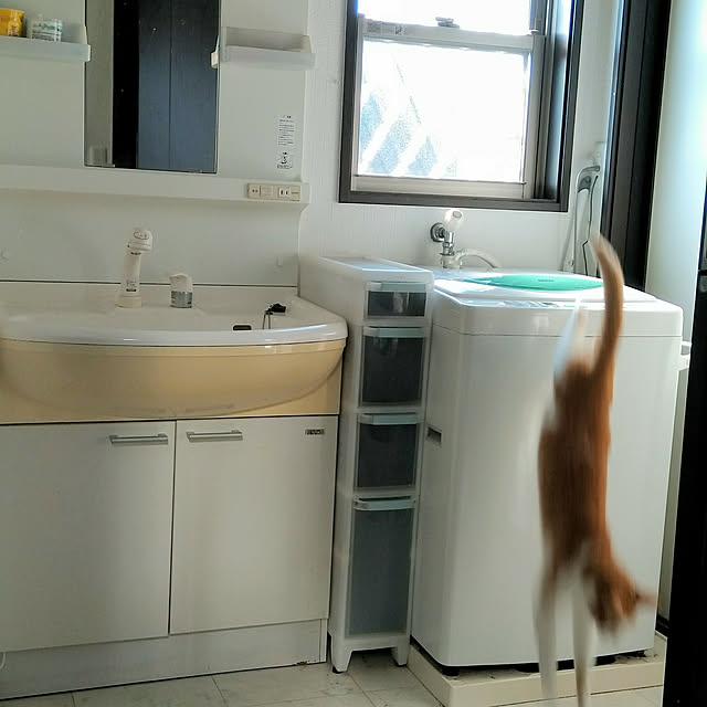 maikoさんの実例写真