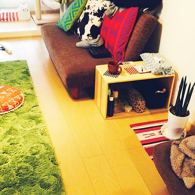 部屋全体/賃貸/IKEA/ニトリ/観葉植物...などのインテリア実例 - 2015-02-22 20:48:17