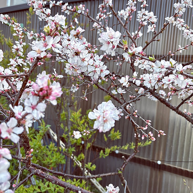 takakoさんの部屋