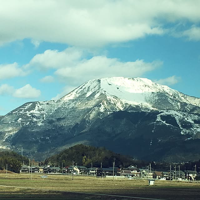実例写真