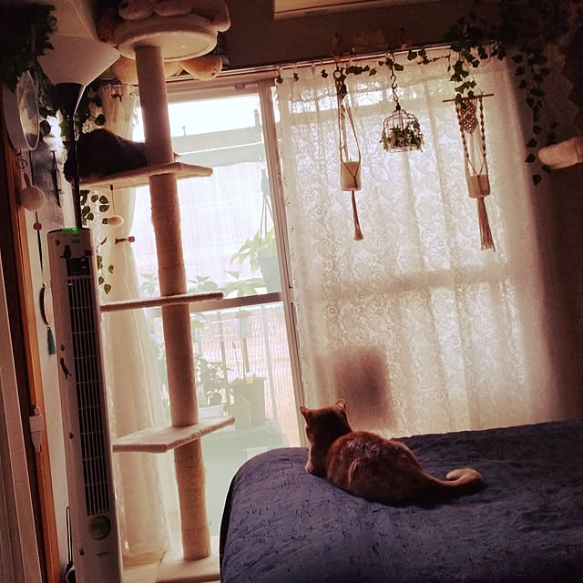 runaさんの実例写真