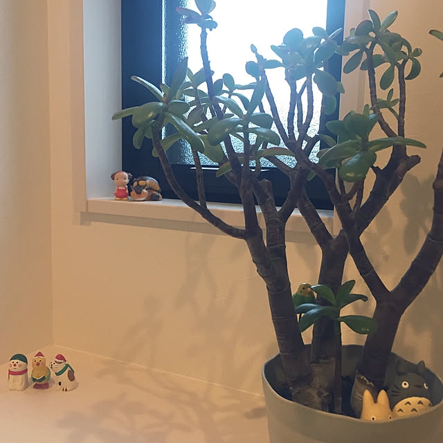 sakusakuさんの実例写真