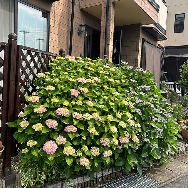 ritsukoさんの部屋
