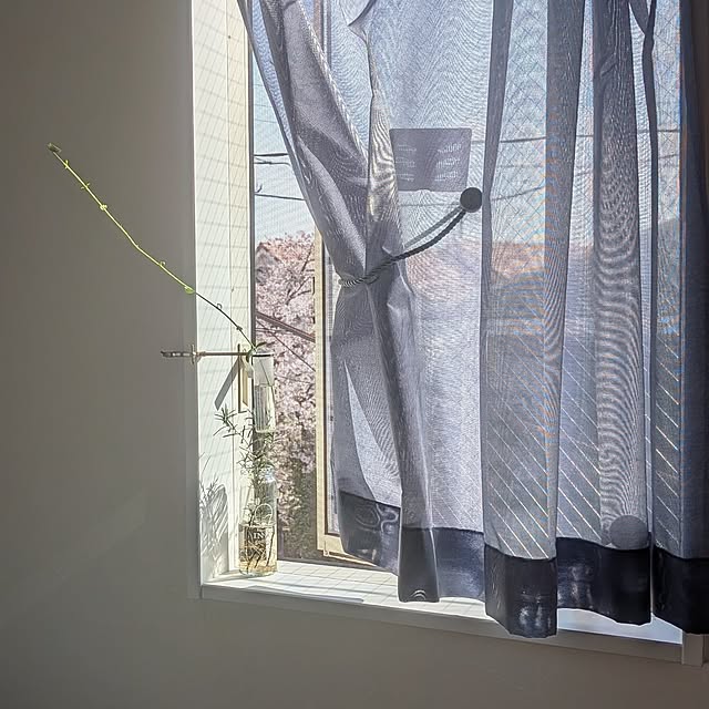 Maroさんの実例写真