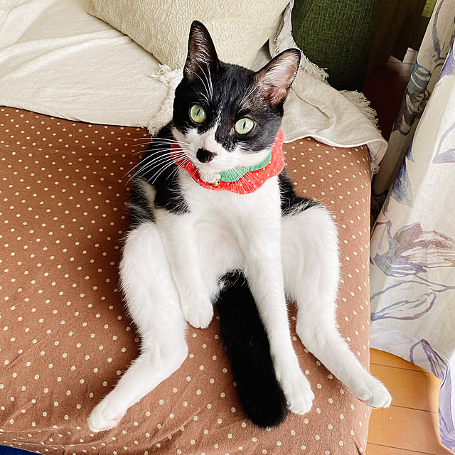 moolさんの実例写真