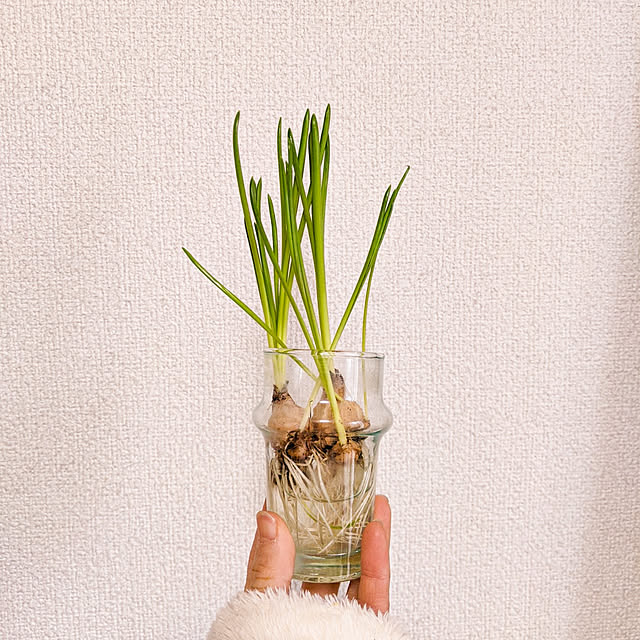 yoshieroomさんの実例写真