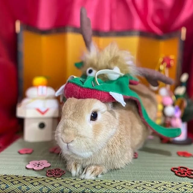 aiさんの部屋