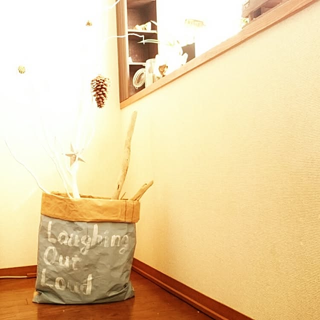 maiさんの実例写真
